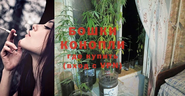 ПСИЛОЦИБИНОВЫЕ ГРИБЫ Алексеевка
