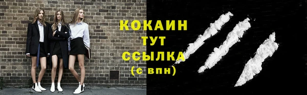 спайс Алексин
