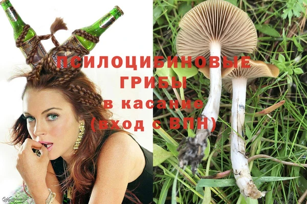 ПСИЛОЦИБИНОВЫЕ ГРИБЫ Алексеевка