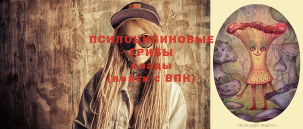 ПСИЛОЦИБИНОВЫЕ ГРИБЫ Алексеевка