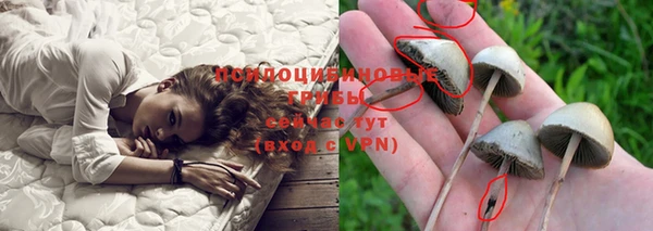 ПСИЛОЦИБИНОВЫЕ ГРИБЫ Алексеевка